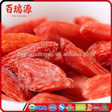 Goji bagas para perder peso bagas de goji para comprar podem goji bagas chatear o estômago